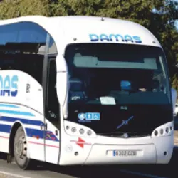 Bus 250x250 1
